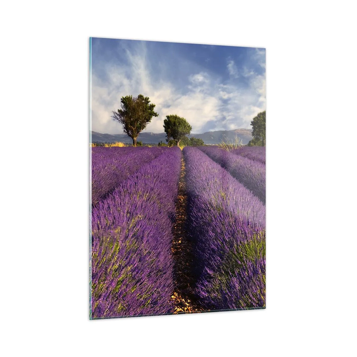 Glasbild - Bild auf glas - Ein Lavendelfeld mit Bäumen und einer Bergkulisse - 50x70cm - Lavendelfelder - Moderne Wanddekoration für Wohnzimmer und Schlafzimmer ARTTOR