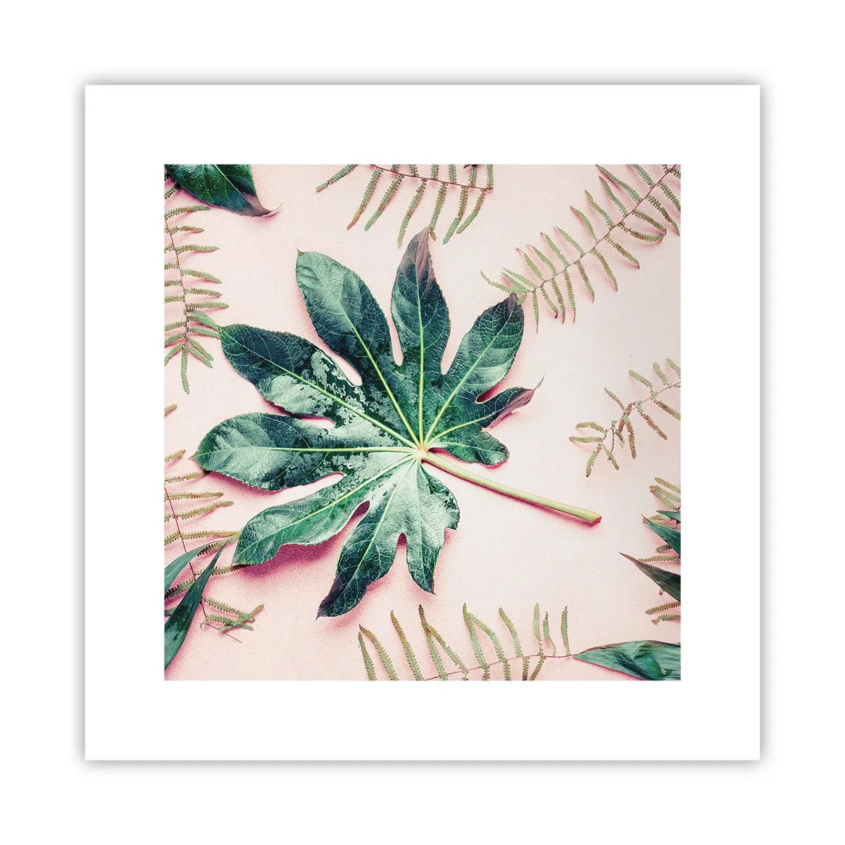 Poster - Eine Studie von Grün auf einem rosa Hintergrund - 30x30 cm