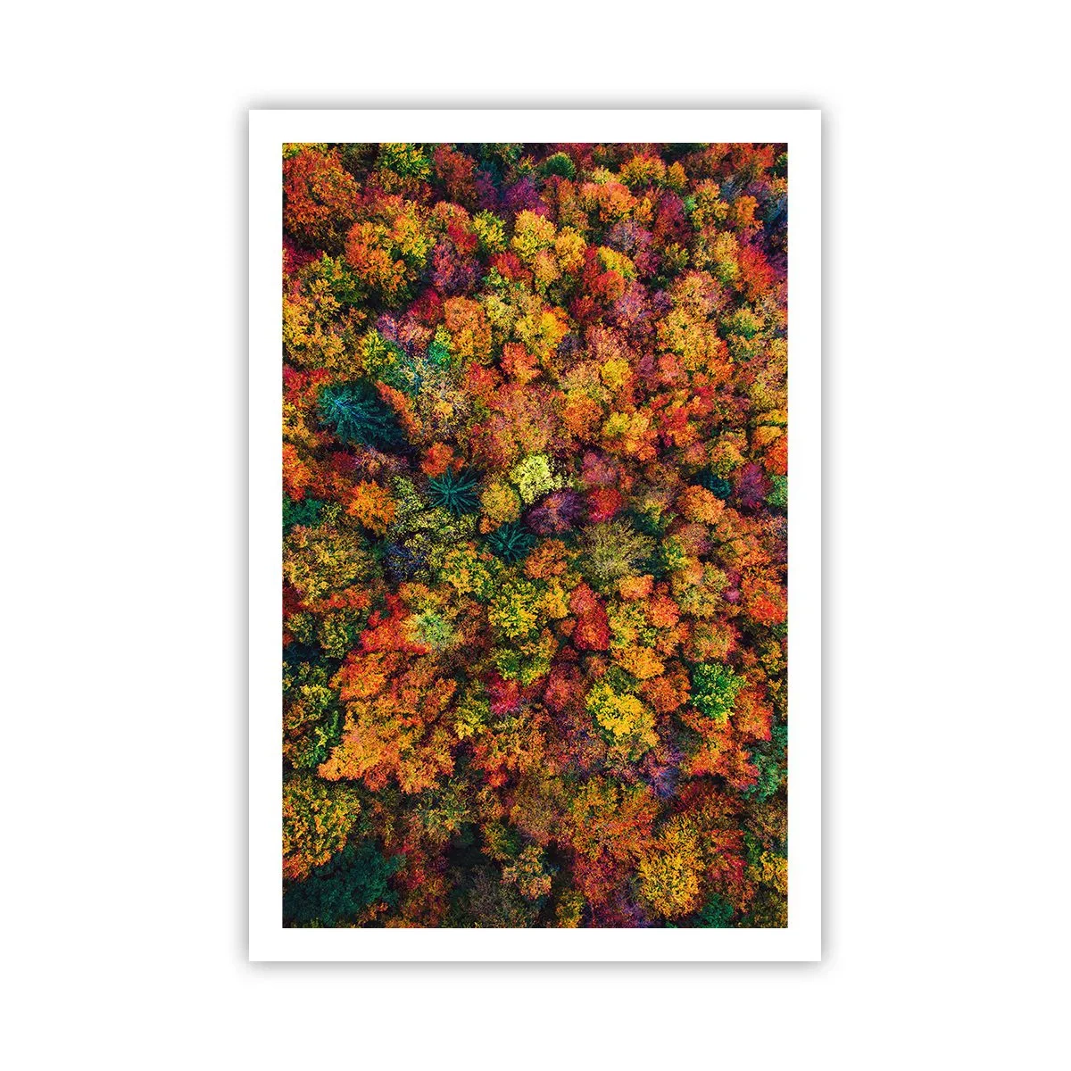 Poster - Blumenstrauß aus Herbstbäumen - 61x91 cm