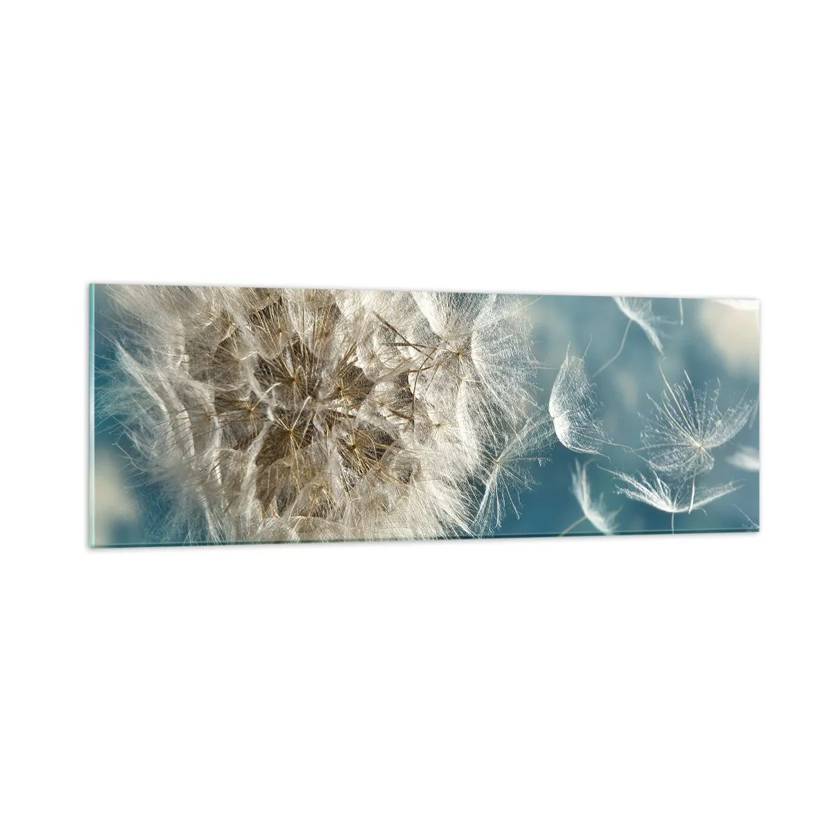 Glasbild - Bild auf glas - Engelsatem - 90x30 cm