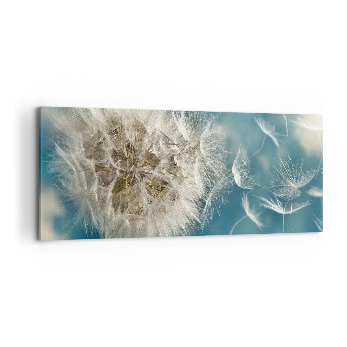 Bild auf Leinwand - Leinwandbild - Ein verwelkter Löwenzahn vor blauem Himmel - 120x50cm - Engelsatem - Moderne Wanddekoration für Wohnzimmer und Schlafzimmer ARTTOR