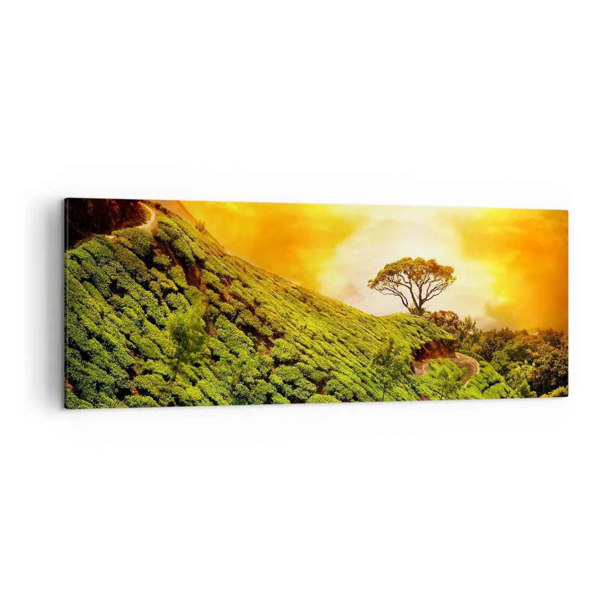 Bild auf Leinwand - Leinwandbild - Grüne Hügel mit Teeplantagen bei Sonnenuntergang - 140x50cm - Ein gewundener Weg, ein grüner Hang - Moderne Wanddekoration für Wohnzimmer und Schlafzimmer ARTTOR