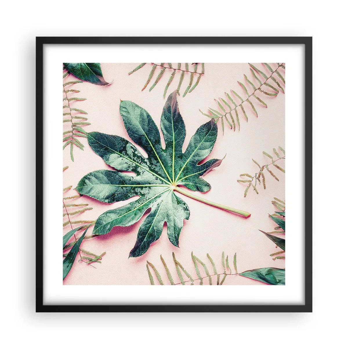 Poster in einem schwarzem Rahmen - Eine Studie von Grün auf einem rosa Hintergrund - 50x50 cm