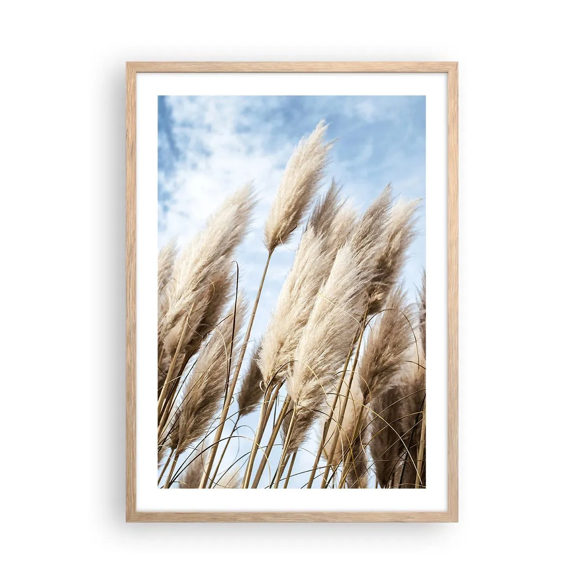 Poster in einem Rahmen aus heller Eiche - Sonnige und windige Liebkosungen - 50x70 cm