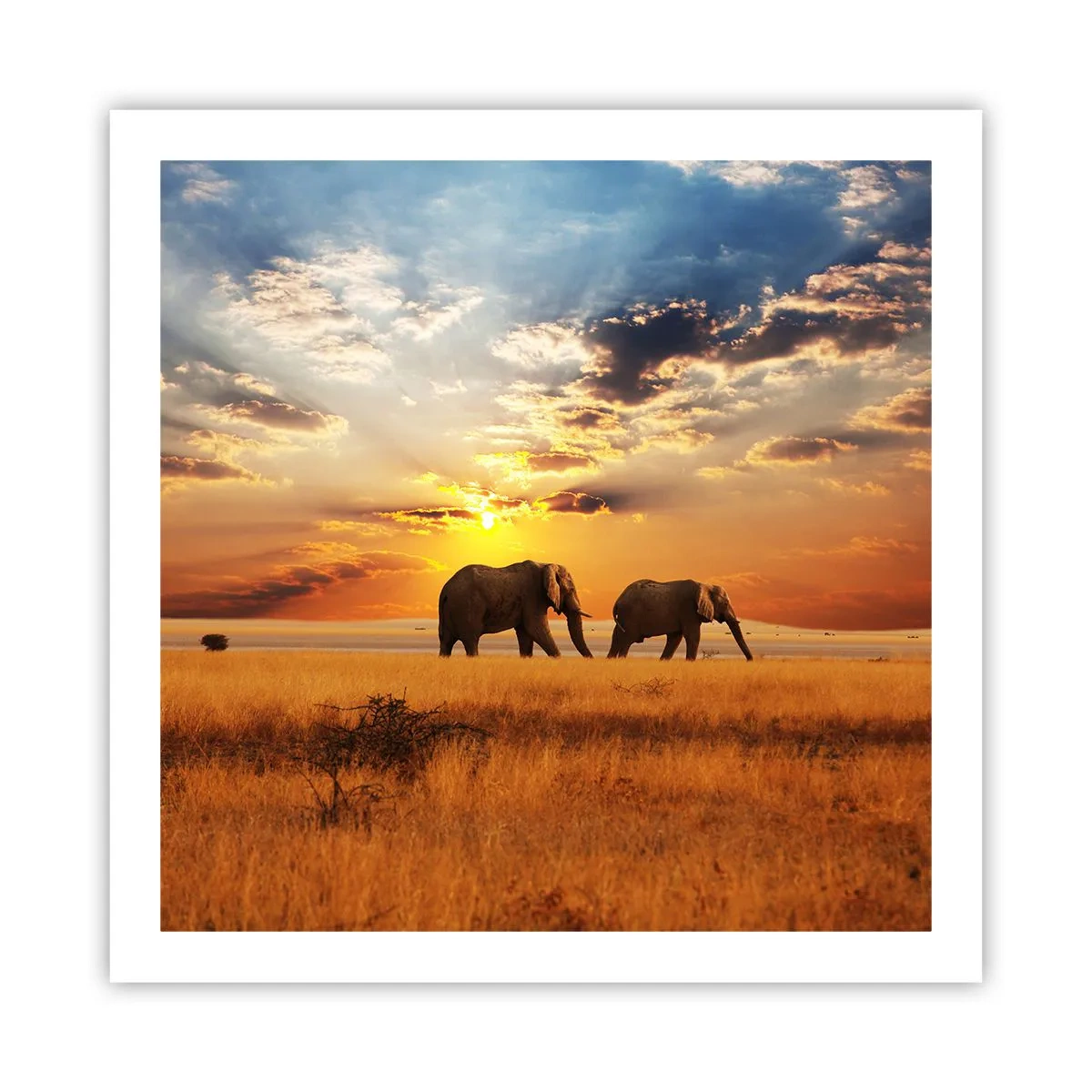 Poster - Familienspaziergang - 60x60 cm