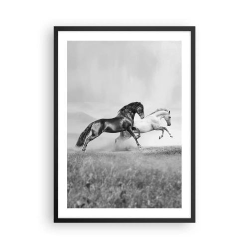 Poster in einem schwarzem Rahmen - Schwarz-weiße Pferde galoppieren dynamisch vor einem Feldhintergrund - 50x70cm - Engel und Dämonen - Moderne Wanddekoration für Wohnzimmer und Schlafzimmer ARTTOR