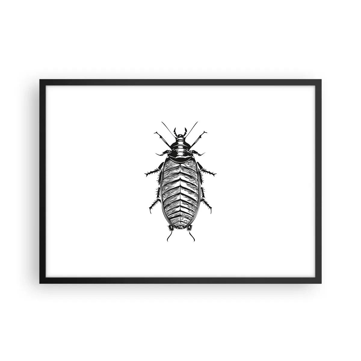 Poster in einem schwarzem Rahmen - Grafik eines schwarz-weißen Insekts auf weißem Hintergrund - 70x50cm - Was für ein Exemplar! - Moderne Wanddekoration für Wohnzimmer und Schlafzimmer ARTTOR