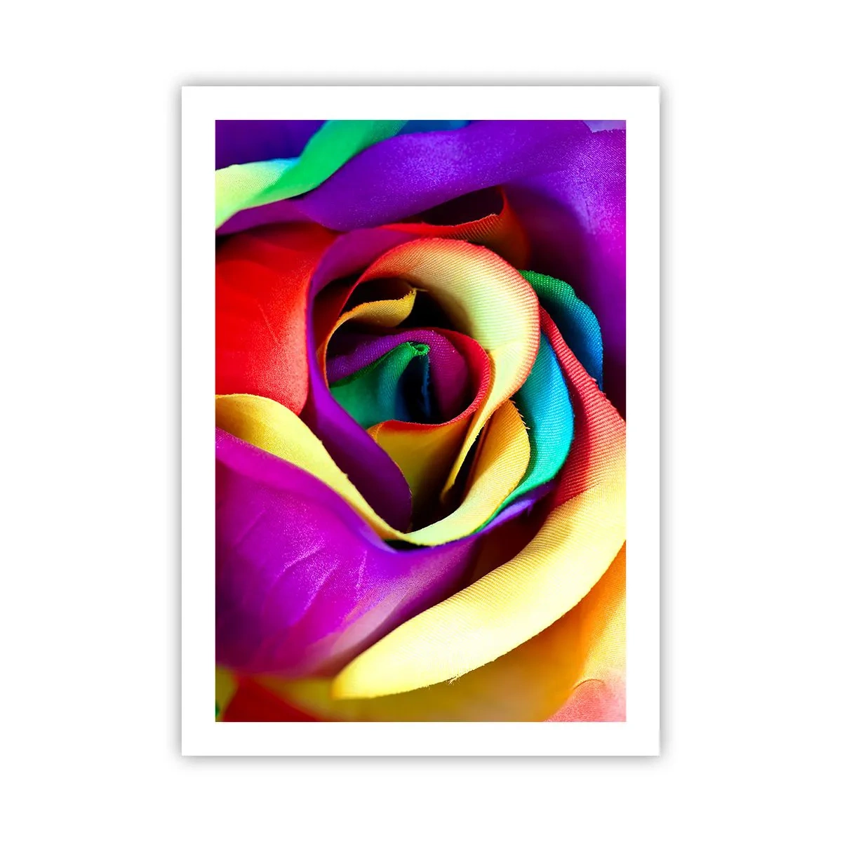 Poster - Eine Nahaufnahme einer bunten Rose mit Regenbogenblütenblättern - 50x70cm - Es ist unmöglich - Moderne Wanddekoration für Wohnzimmer und Schlafzimmer ARTTOR