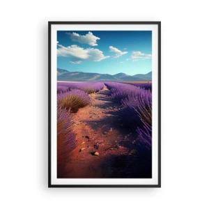 Poster in einem schwarzem Rahmen - Duftende Felder - 61x91 cm