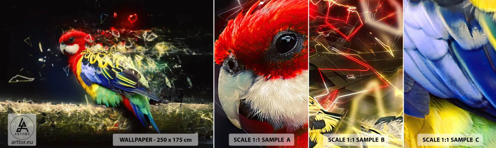 Fototapeten Muster Selbstklebend Deluxe Sticker - Botschafter des Strahlens - Abstraktion, Papagei, Vogel - 100x30 cm