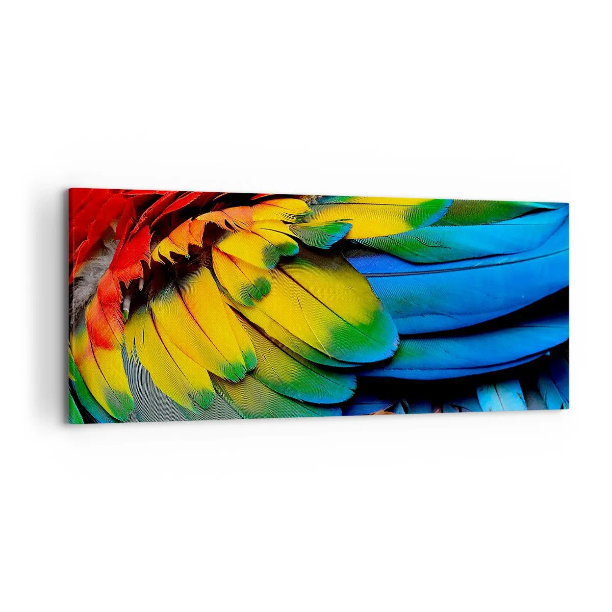 Bild auf Leinwand - Leinwandbild - Eine Nahaufnahme der bunten Federn eines Papageis - 120x50cm - Paradiesvogel - Moderne Wanddekoration für Wohnzimmer und Schlafzimmer ARTTOR