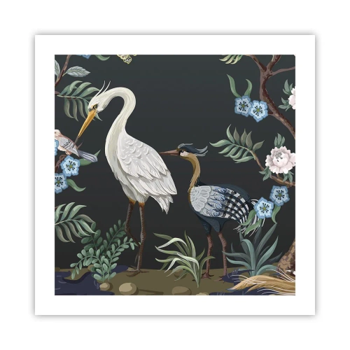 Poster - Vogelparade - 50x50 cm