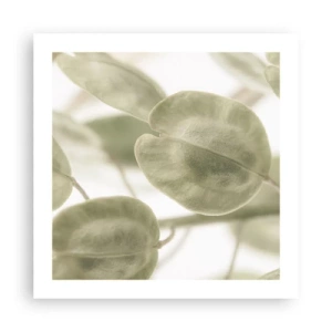 Poster - Am Anfang waren Blätter... - 50x50 cm