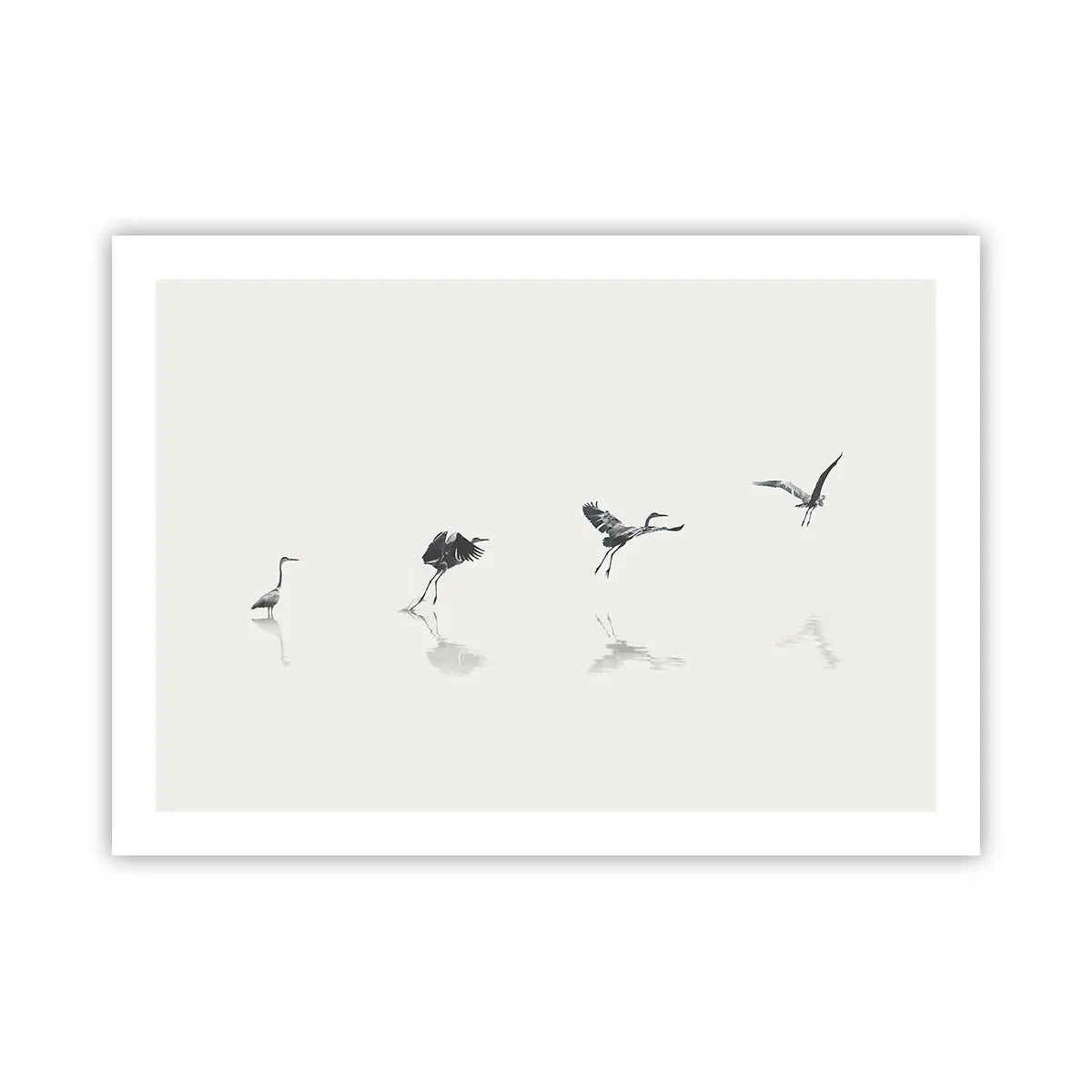 Poster - Vier einfache Schritte - 70x50 cm