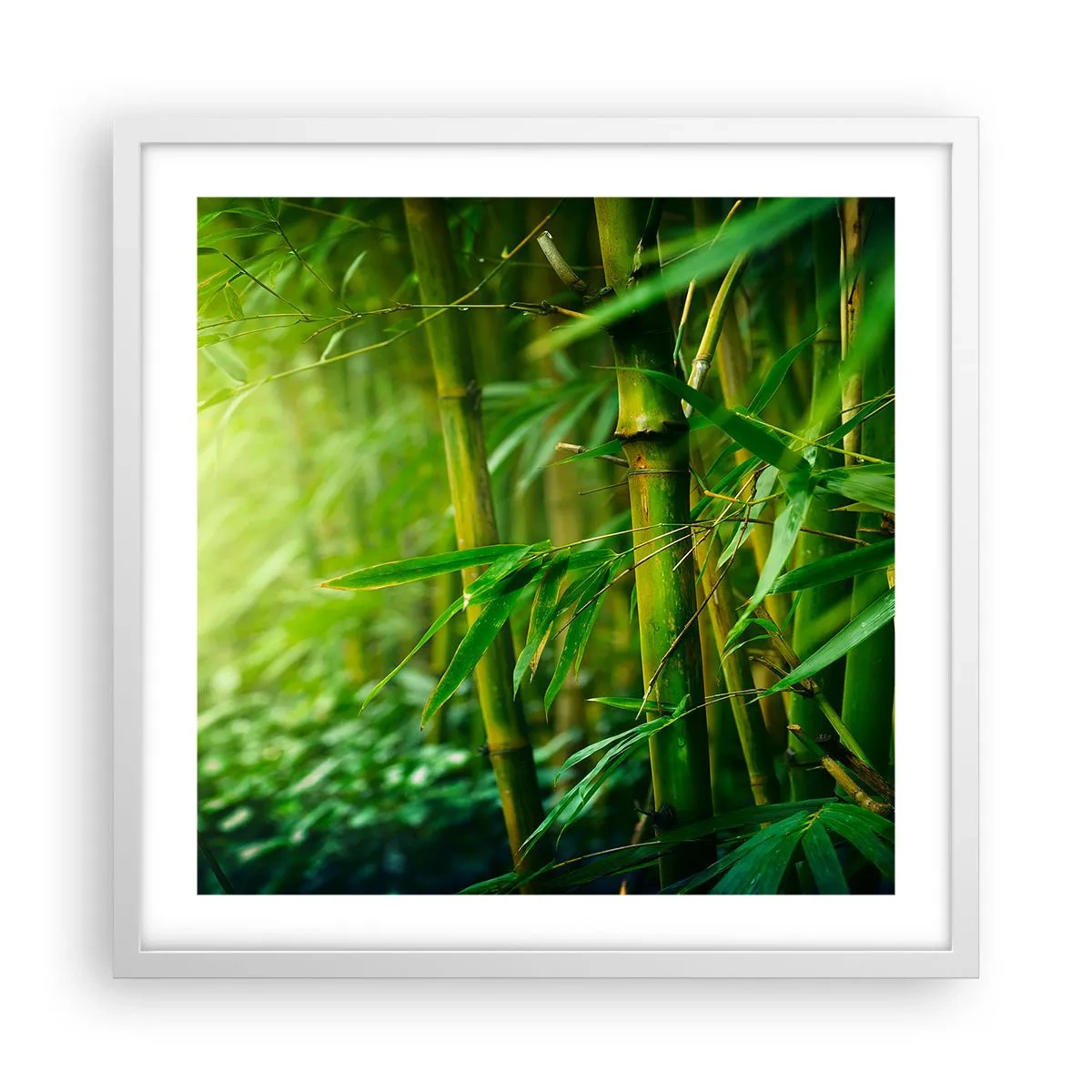 Poster in einem weißen Rahmen - Lerne Grün selbst kennen - 50x50 cm