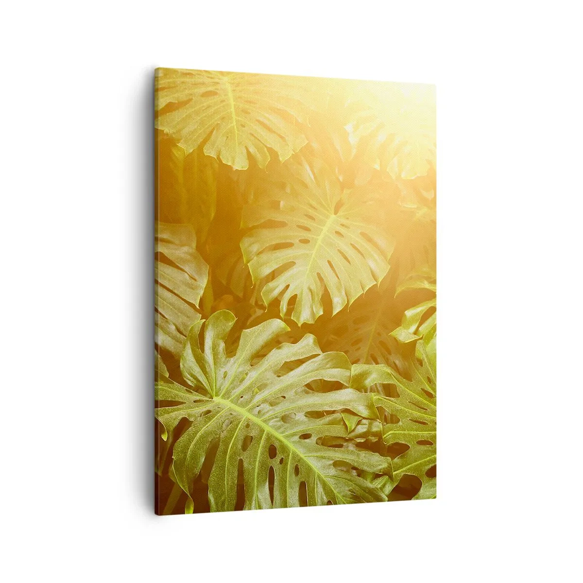 Bild auf Leinwand - Leinwandbild - Monstera-Blätter im Sonnenlicht vor einem natürlichen Hintergrund - 50x70cm - Ins Grüne tretren... - Moderne Wanddekoration für Wohnzimmer und Schlafzimmer ARTTOR