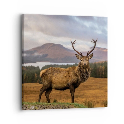 Bild auf Leinwand - Leinwandbild - Die Majestät der Natur - 30x30 cm