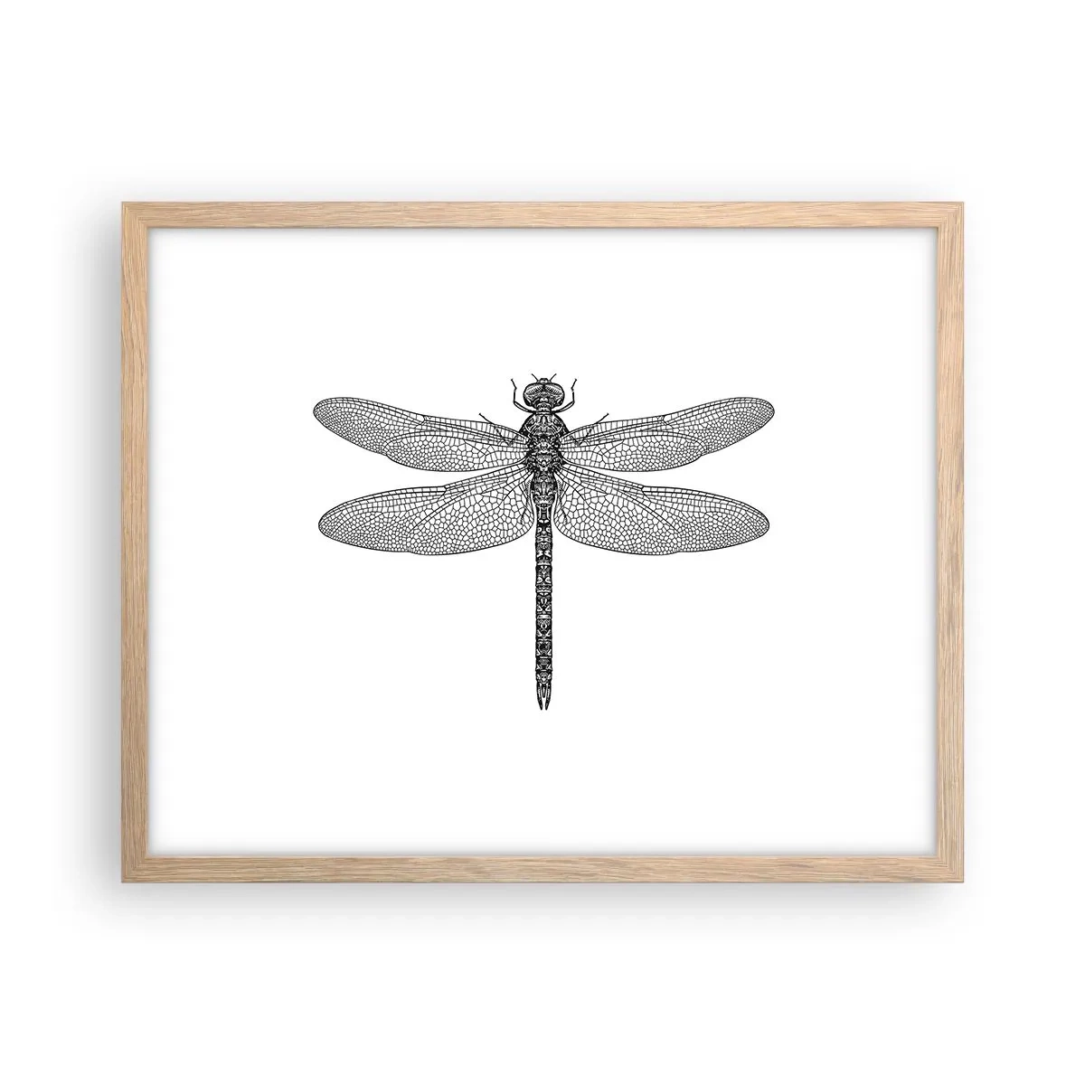 Poster in einem Rahmen aus heller Eiche - Präzision der Natur - 50x40 cm