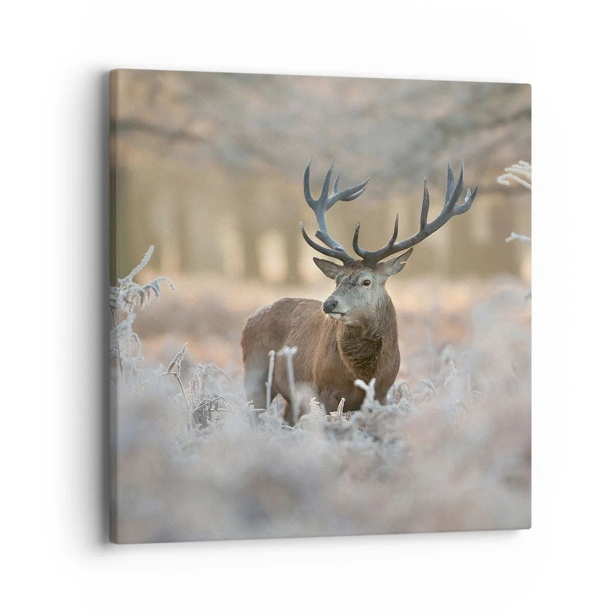 Bild auf Leinwand - Leinwandbild - Ein flotter Morgen - 40x40 cm