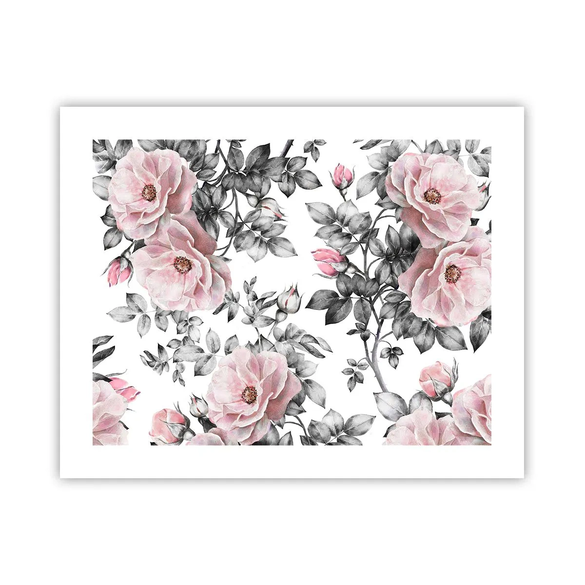 Poster - Verliere dich in den Blüten der Rosen - 50x40 cm