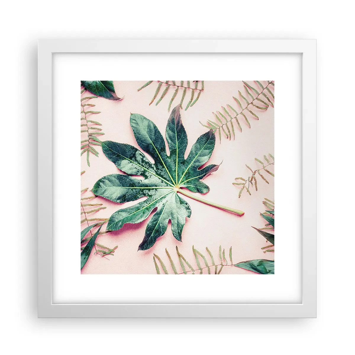 Poster in einem weißen Rahmen - Eine Studie von Grün auf einem rosa Hintergrund - 30x30 cm