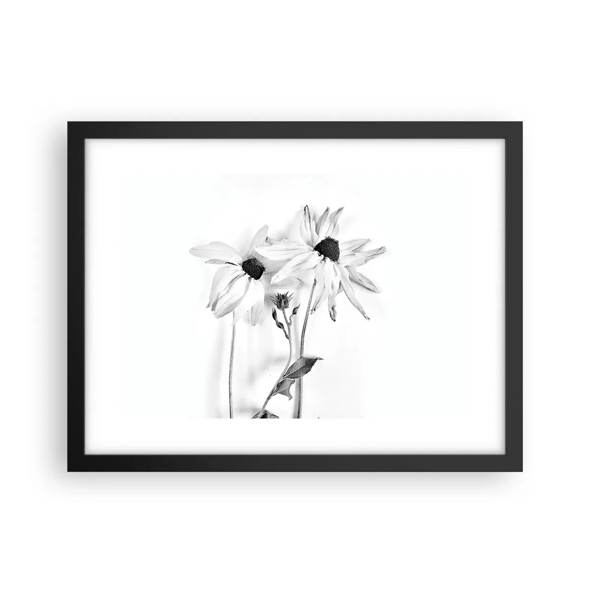 Poster in einem schwarzem Rahmen - Niemand will allein sein - 40x30 cm