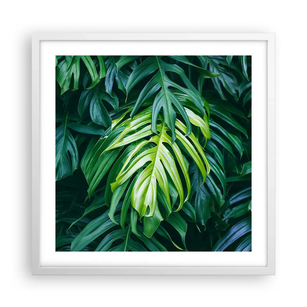 Poster in einem weißen Rahmen - Tauchen Sie ein in die Frische - 50x50 cm