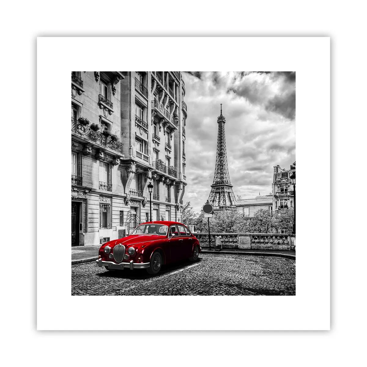 Poster - Raubtier in der Stadt - 30x30 cm