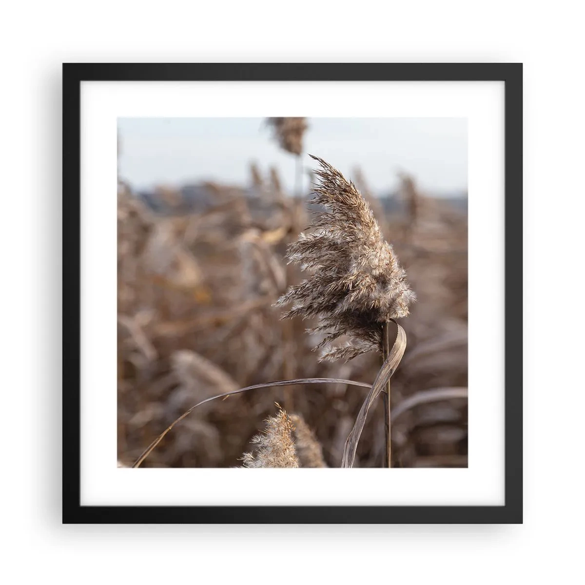 Poster in einem schwarzem Rahmen - Zeit, mit dem Wind zu gehen - 40x40 cm