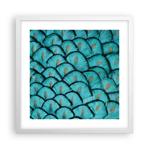 Poster in einem weißen Rahmen - Große Federgala - 40x40 cm