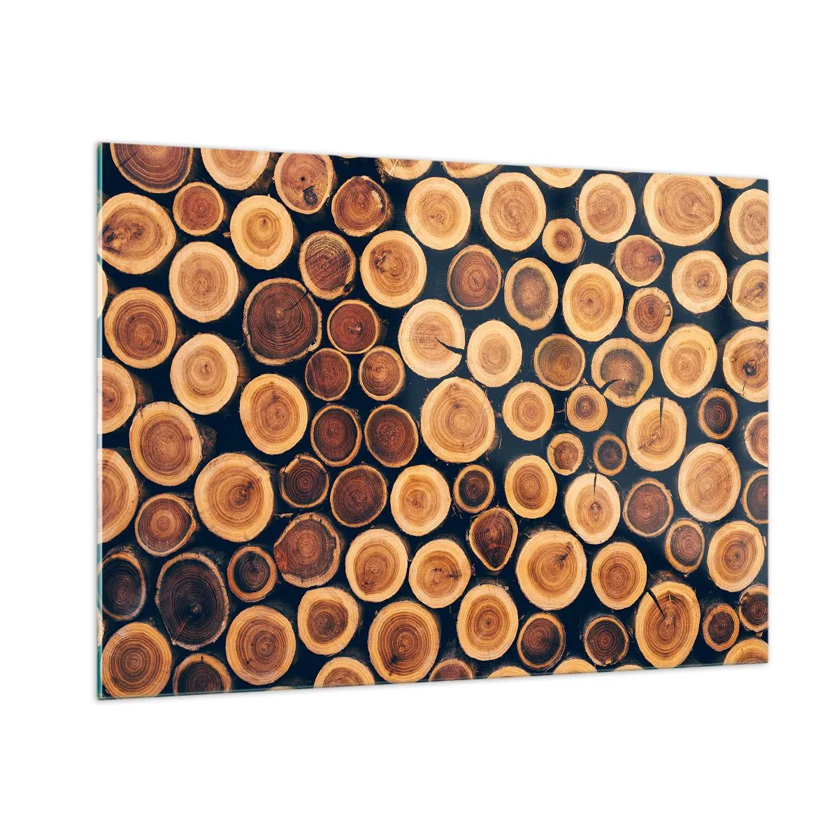 Glasbild - Bild auf glas - Blick auf in einer Reihe angeordnete, geschnittene Baumstämme - 100x70cm - Wie alt sehe ich aus? - Moderne Wanddekoration für Wohnzimmer und Schlafzimmer ARTTOR