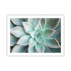 Poster - Das Herz der Wüste - 70x50 cm