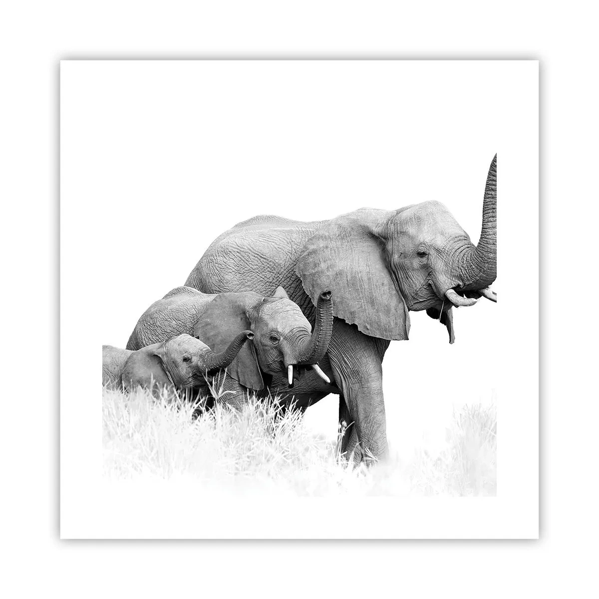 Poster - Eins zwei drei - 40x40 cm