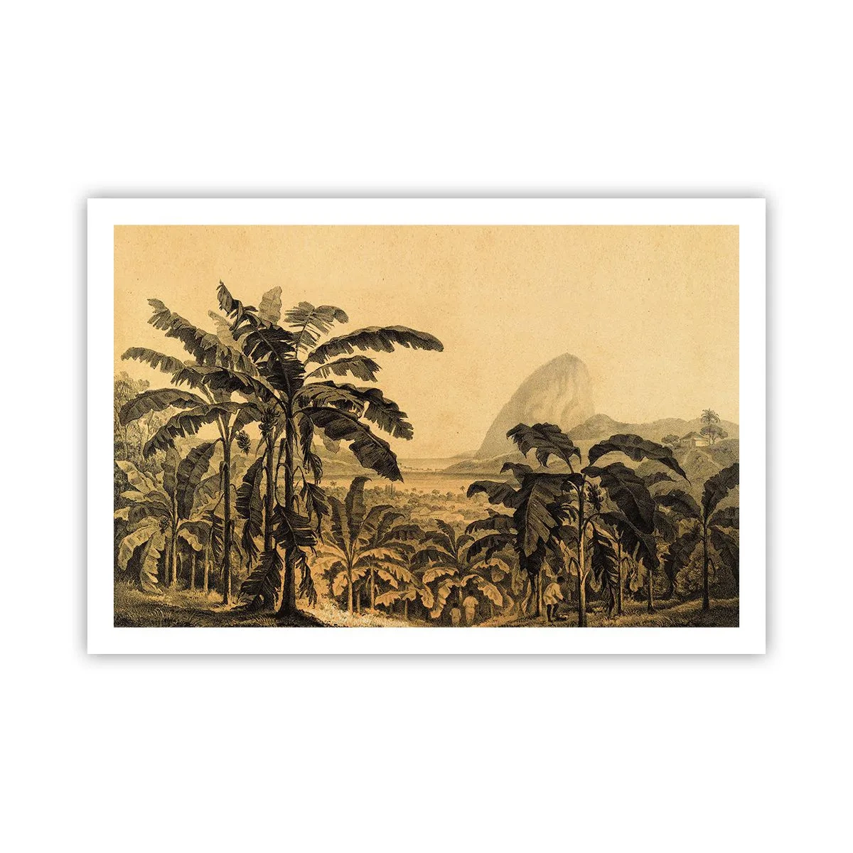 Poster - in einem kolonialen Klima - 91x61 cm