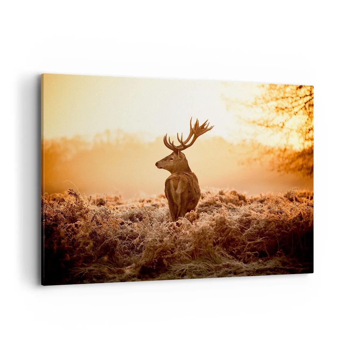 Bild auf Leinwand - Leinwandbild - Hirsch in den Strahlen der aufgehenden Sonne - 100x70cm - Herr im eigenen Land - Moderne Wanddekoration für Wohnzimmer und Schlafzimmer ARTTOR
