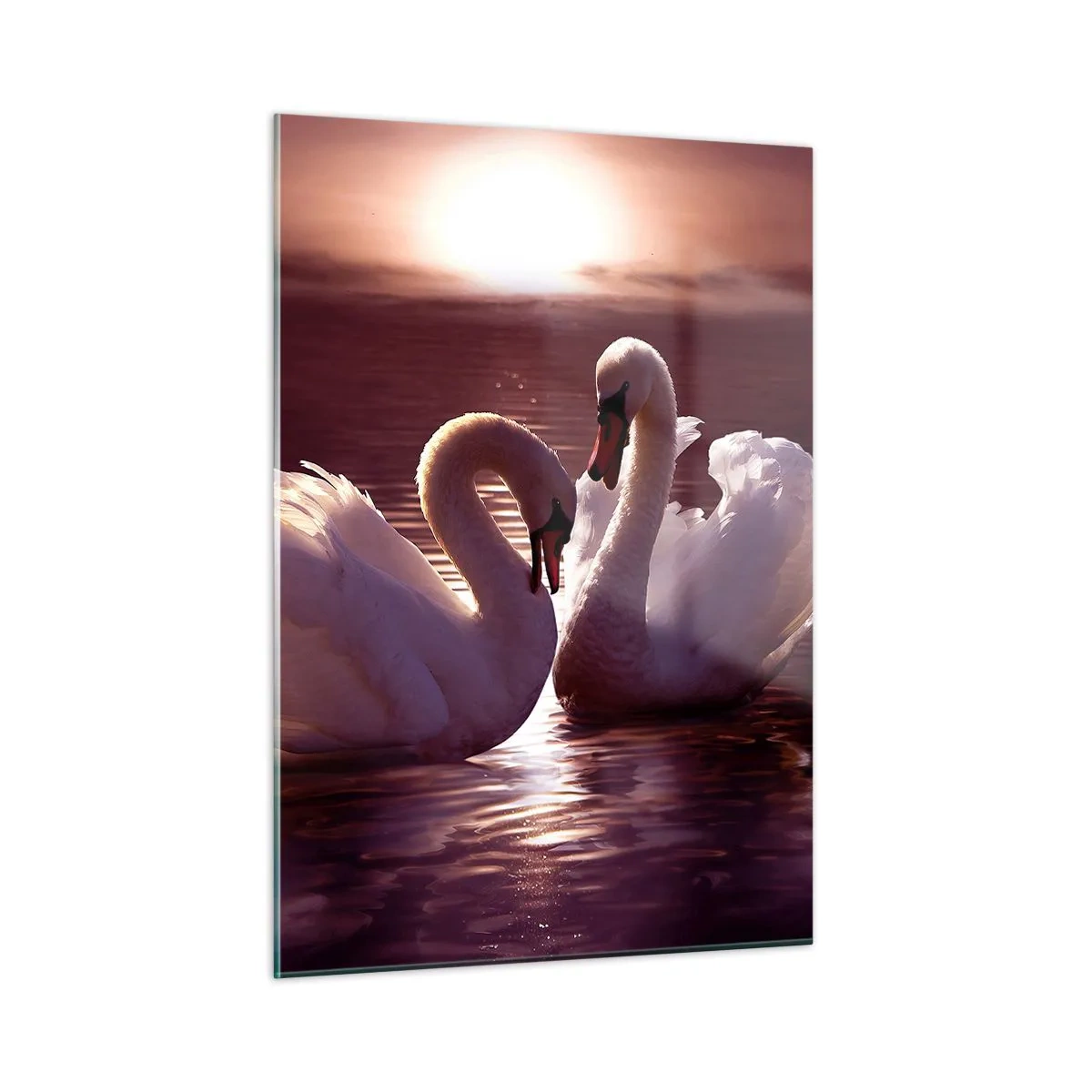 Glasbild - Bild auf glas - Zwei Schwäne auf dem Wasser im Licht der untergehenden Sonne - 50x70cm - Bis der Tod uns scheidet - Moderne Wanddekoration für Wohnzimmer und Schlafzimmer ARTTOR