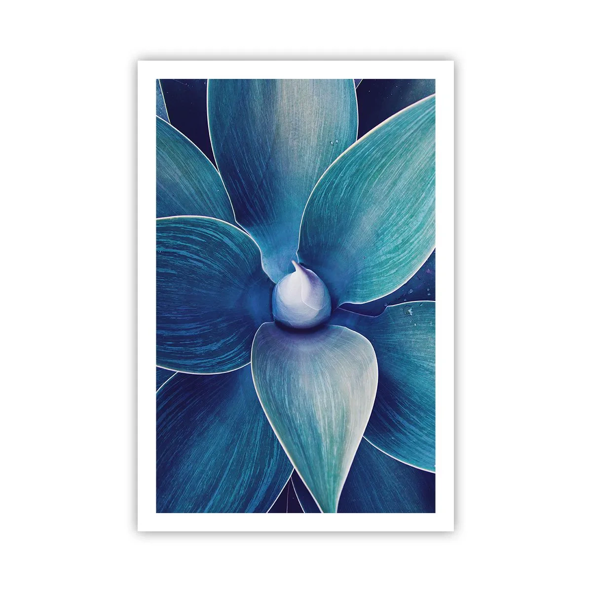 Poster - Bläulich vom Himmel - 61x91 cm