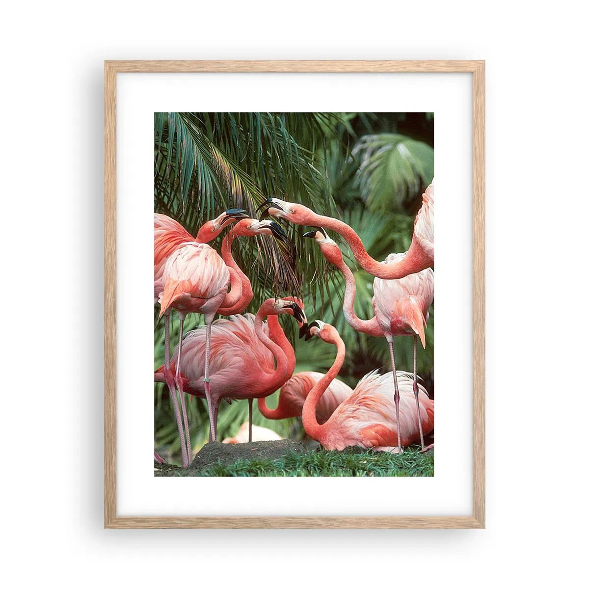 Poster in einem Rahmen aus heller Eiche - Nachmittagsklatsch - 40x50 cm