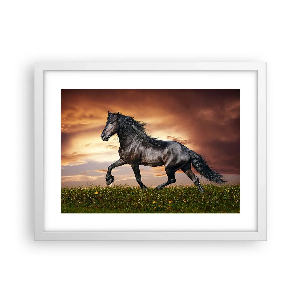 Poster in einem weißen Rahmen - Schwarzer Prinz - 40x30 cm