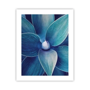 Poster - Bläulich vom Himmel - 40x50 cm