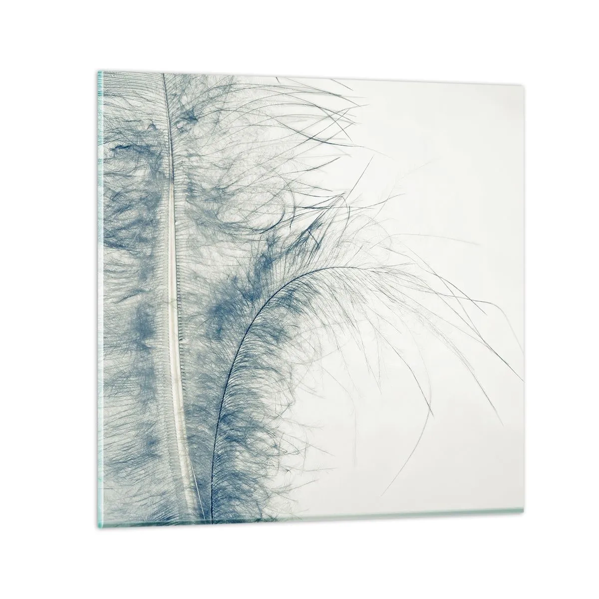 Glasbild - Bild auf glas - Flüstern der Natur - 70x70 cm