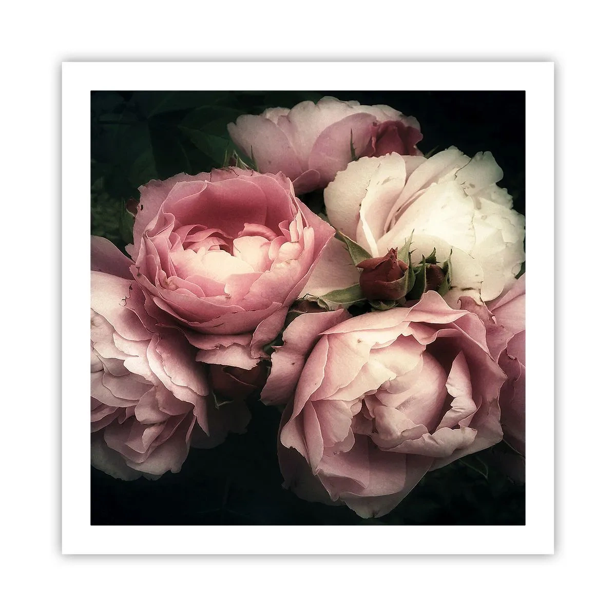 Poster - Der Charme der Belle Epoque - 60x60 cm