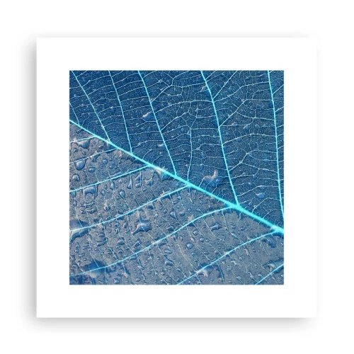 Poster - Leben in Blau - 30x30 cm