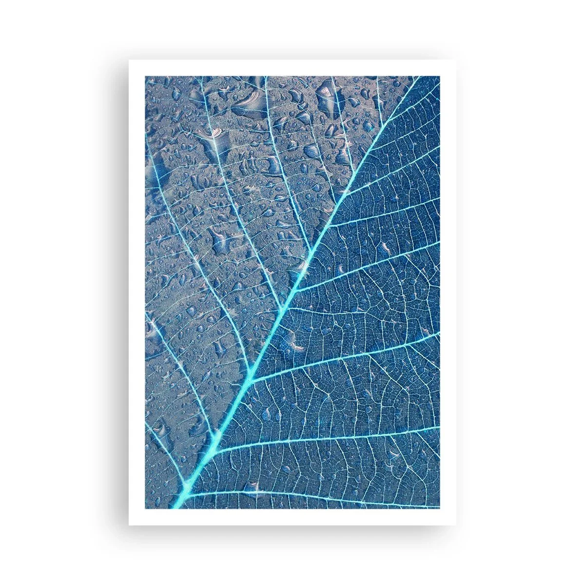 Poster - Leben in Blau - 70x100 cm