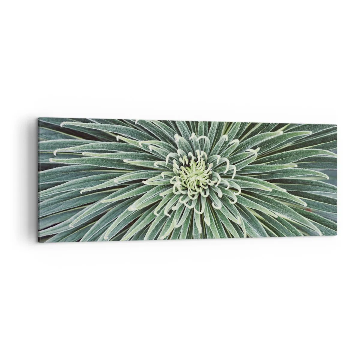 Bild auf Leinwand - Leinwandbild - Symmetrische Anordnung grüner Blätter, die einem Stern ähneln - 140x50cm - Ein Star ist geboren - Moderne Wanddekoration für Wohnzimmer und Schlafzimmer ARTTOR