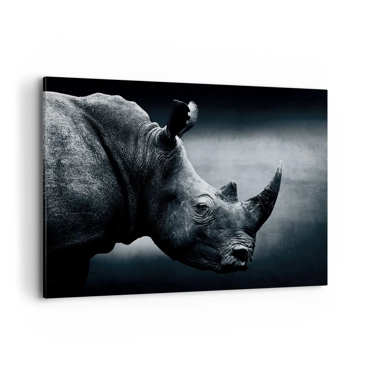 Bild auf Leinwand - Leinwandbild - Schwarz-Weiß-Porträt eines Nashorns vor dunklem Hintergrund - 120x80cm - Richtiges Profil - Moderne Wanddekoration für Wohnzimmer und Schlafzimmer ARTTOR