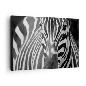 Bild auf Leinwand - Leinwandbild - Eine Schwarz-Weiß-Nahaufnahme eines Zebras mit seinen charakteristischen Streifen. - 70x50cm - Die Welt ist schwarz und weiß - Moderne Wanddekoration für Wohnzimmer und Schlafzimmer ARTTOR