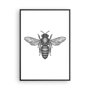 Poster in einem schwarzem Rahmen - Insektenporträt - 70x100 cm