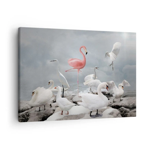 Bild auf Leinwand - Leinwandbild - Ein rosa Flamingo zwischen weißen Schwänen vor der Kulisse eines Sees - 70x50cm - Wie kam ich hier hin? - Moderne Wanddekoration für Wohnzimmer und Schlafzimmer ARTTOR