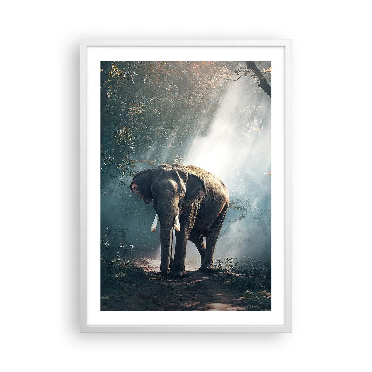 Poster in einem weißen Rahmen - Ein gemütlicher Spaziergang - 50x70 cm